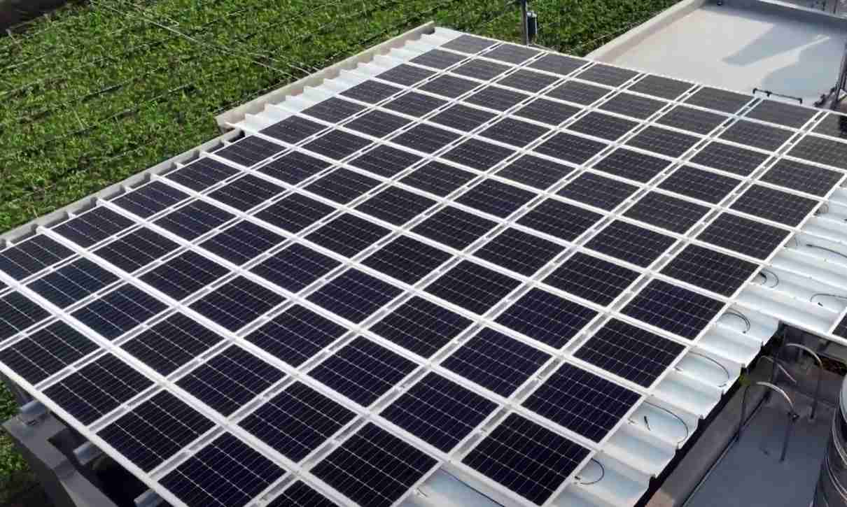 尊龙集团SunSteel光电浪板升级双玻结构，，，，以提升机械负载强度及气候耐候度，，可广泛运用于多元场域